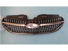 Grill Assembly 602001738AA