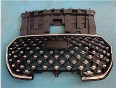 Grill Assembly 602002419AA