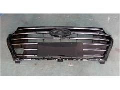 Grill Assembly 602002111AA