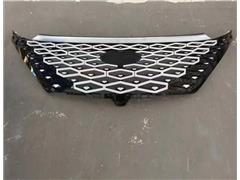 Grill Assembly 602002028AAABW