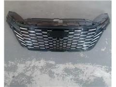 Grill Assembly 602002532AA