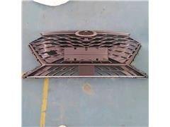Grill Assembly 602004030AA