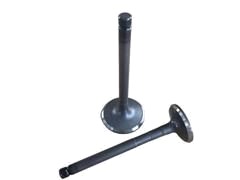 intake valve R6954/SNT
