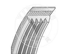 Belt 5PK875