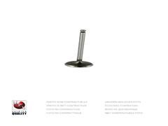 intake valve T920A39